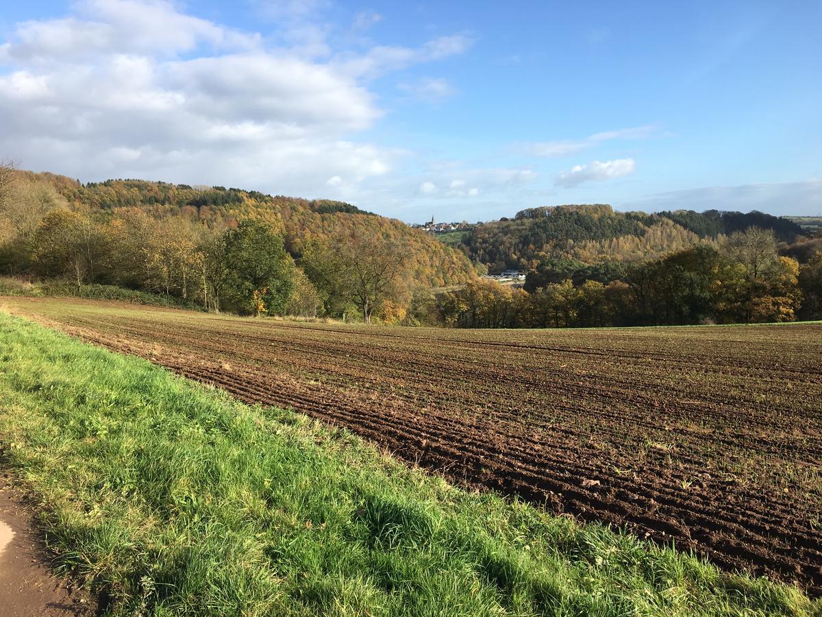 Ferienhaus Stausee Bitburg Villa Biersdorf Eksteriør bilde